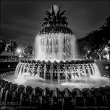 Black and White photography of Charleston