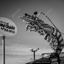 Black and White photography of Galveston