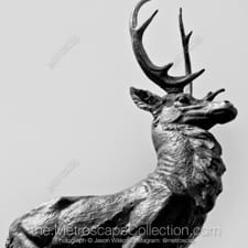 Black and White photography of Hartford