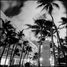 Black and White photography of Palm Beach