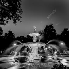 Black and White photography of Savannah