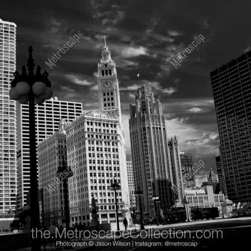 The Wrigley Building and Tribune Building from Wacker Drive
