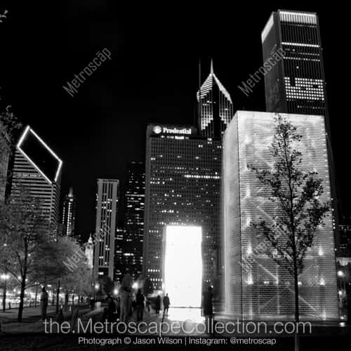 A Sapling is Silhouetted by the Crown Fountain in Millennium Park
