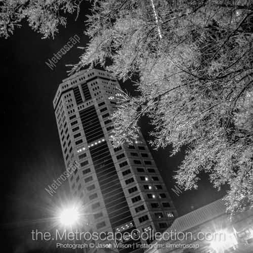 Columbus | Riffe