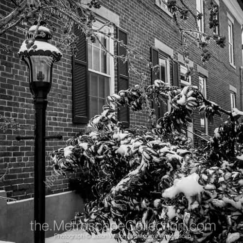 Columbus | Snow