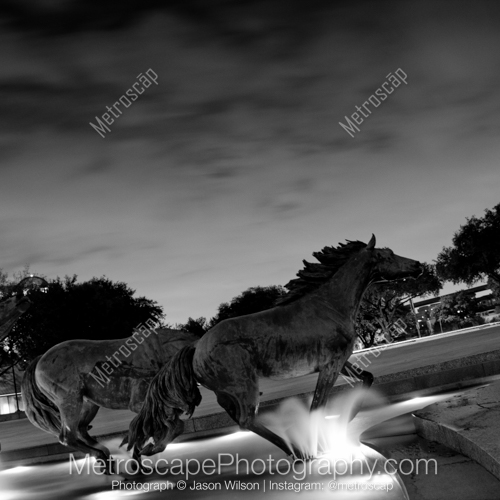 The Mustangs of Las Colinas
