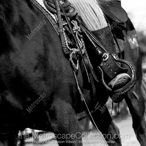 The Cowboy Horse Tackle