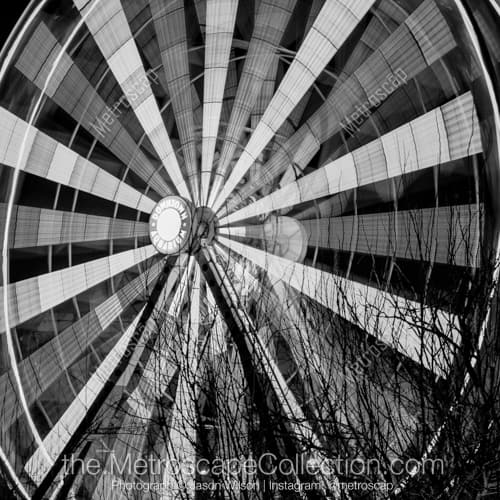 The Houston Aquarium Ferris Wheel