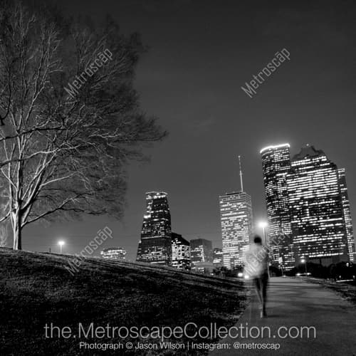 The Houston Cityscape from Buffalo Bayou