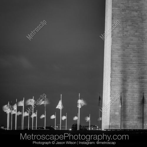 United States Flags Surround the Washington Monument