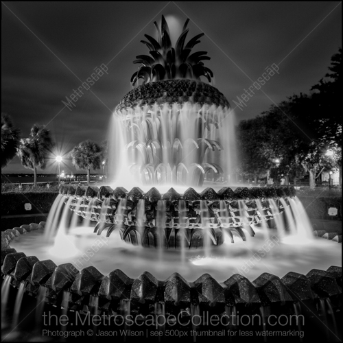 Black and White photography of Charleston