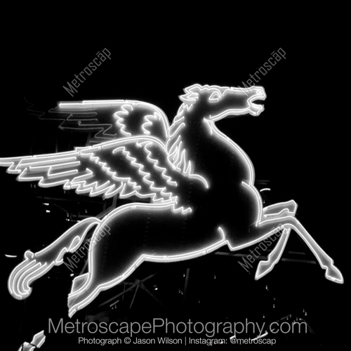 Dallas | "Pegasus"