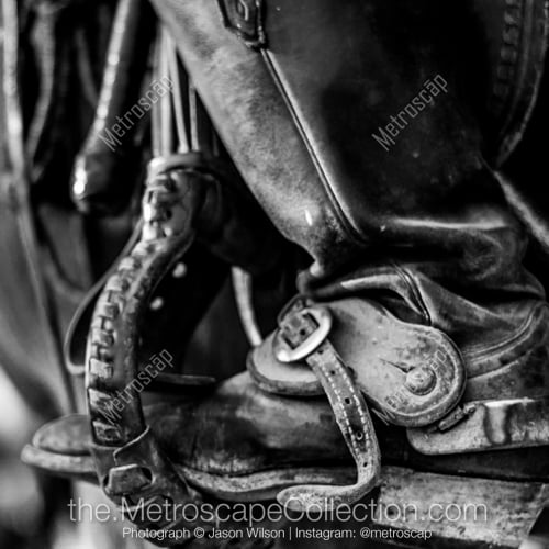 A Texas Cowboy Boot