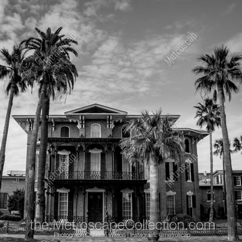 Galveston | "Ashton"