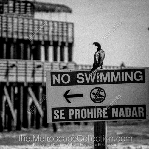 Se Prohibe Nadar