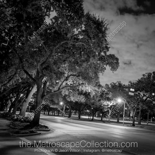 Main and Fanin near Rice University