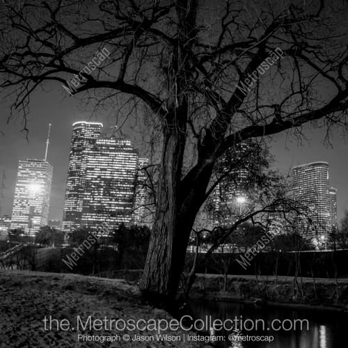 The Houston Skyline in Buffalo Bayou