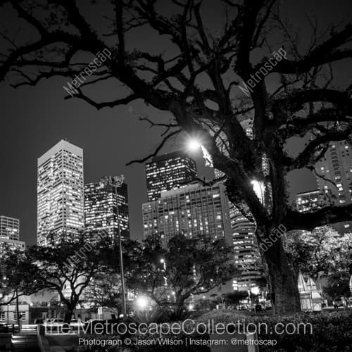 The Houston Skyline from Root Square