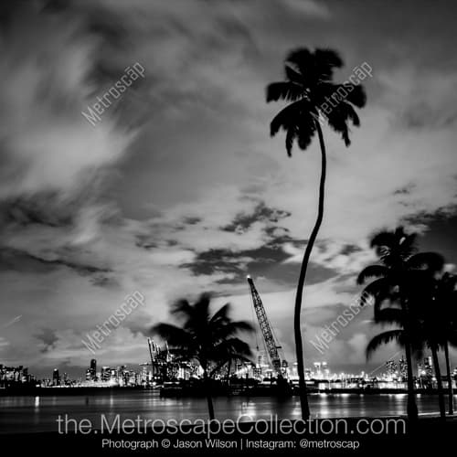 Miami | "Alton"