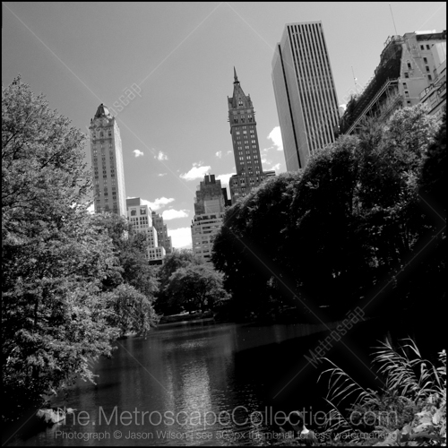 The Central Park Pond