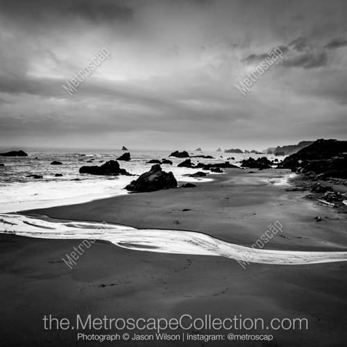 Black and White photography of Oregon Coast