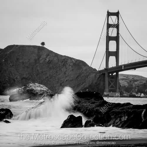 San Francisco | "Tree"