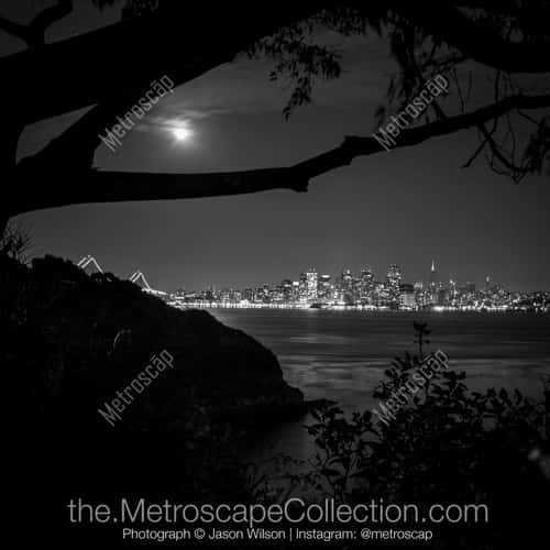 San Francisco | "Yerba"
