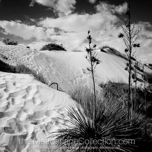 Black and White photography of White Sands