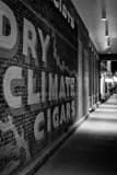 Dry Climate Cigars Wall Mural Downtown Aspen Black and White Vertical Dry Climate Cigars Wall Mural Downtown Aspen black and white