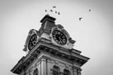 Athens County Courthouse Black and White Horizontal Athens County Courthouse black and white