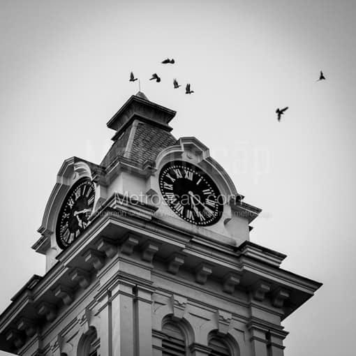 Matte Black MDF Framed Black and White Athens Photograph: Birds Fly Around the Athens County Courthouse in a Square Matte Black MDF Frame