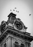 Athens County Courthouse Black and White Vertical Athens County Courthouse black and white