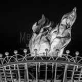 Atlanta Olympic Flame Black and White Square Atlanta Olympic Flame black and white