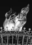 Atlanta Olympic Flame Black and White Vertical Atlanta Olympic Flame black and white