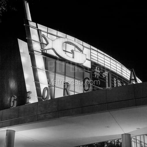 The Aquarium at Night black and white Photography