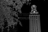 UT Tower Black and White Horizontal UT Tower black and white