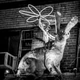 Keep Austin Weird Black and White Square Keep Austin Weird black and white