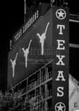 Texas Memorial Stadium Black and White Vertical Texas Memorial Stadium black and white