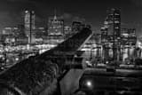 Revolutionary War Cannon Federal Hill Black and White Horizontal Revolutionary War Cannon Federal Hill black and white