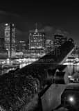 Revolutionary War Cannon Federal Hill Black and White Vertical Revolutionary War Cannon Federal Hill black and white