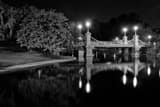 Public Garden Suspension Bridge Black and White Horizontal Public Garden Suspension Bridge black and white