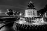 Pineapple Fountain Charleston Sc Black and White Horizontal Pineapple Fountain Charleston Sc black and white