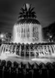 Pineapple Fountain Charleston Sc Black and White Vertical Pineapple Fountain Charleston Sc black and white