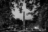 Washington Square Park Charleston Sc Black and White Horizontal Washington Square Park Charleston Sc black and white