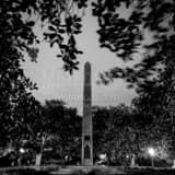 Washington Square Park Charleston Sc Black and White Square Washington Square Park Charleston Sc black and white