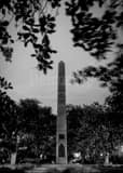 Washington Square Park Charleston Sc Black and White Vertical Washington Square Park Charleston Sc black and white