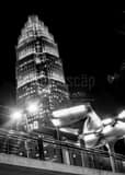 Charlotte Lynx Rail Station Black and White Vertical Charlotte Lynx Rail Station black and white