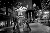 Firebird Sculpture On Tryon Downtown Charlotte Black and White Horizontal Firebird Sculpture On Tryon Downtown Charlotte black and white