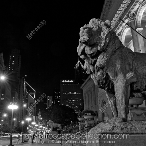 Matte Black MDF Framed Black and White Chicago Photograph: The Chicago Art Institute Lion in a Square Matte Black MDF Frame
