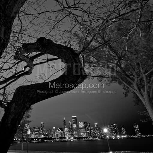 Matte Black MDF Framed Black and White Chicago Photograph: The Chicago Skyline from the Shedd Aquarium in a Square Matte Black MDF Frame